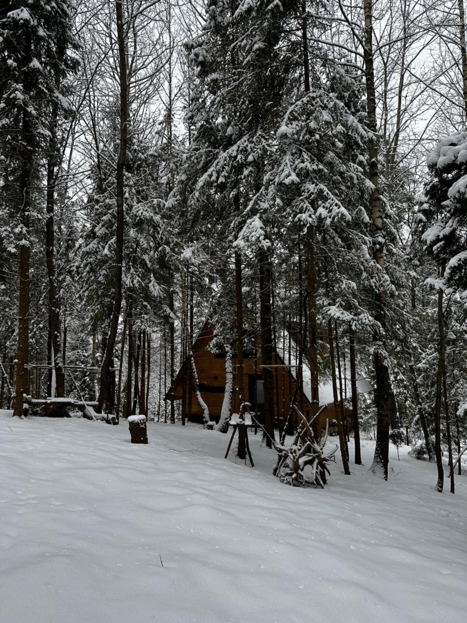 Oryavchik Country House Oryavchyk Exterior foto